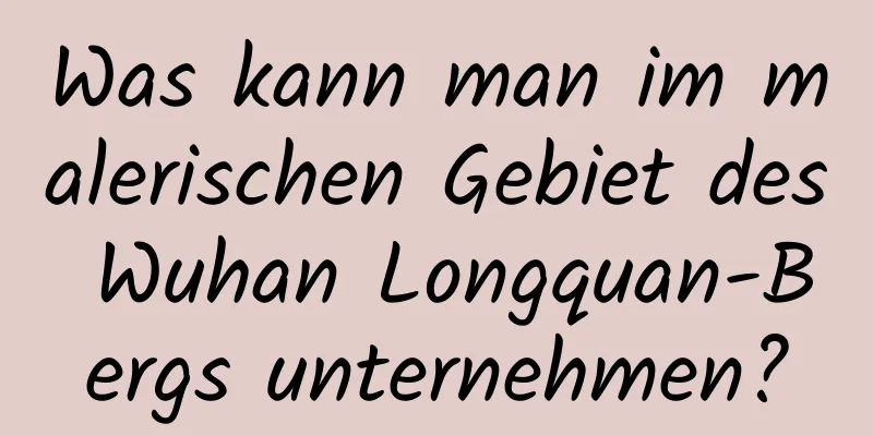 Was kann man im malerischen Gebiet des Wuhan Longquan-Bergs unternehmen?