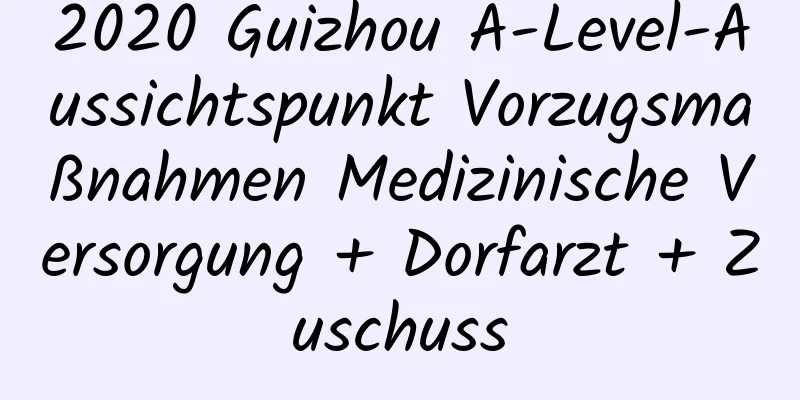 2020 Guizhou A-Level-Aussichtspunkt Vorzugsmaßnahmen Medizinische Versorgung + Dorfarzt + Zuschuss