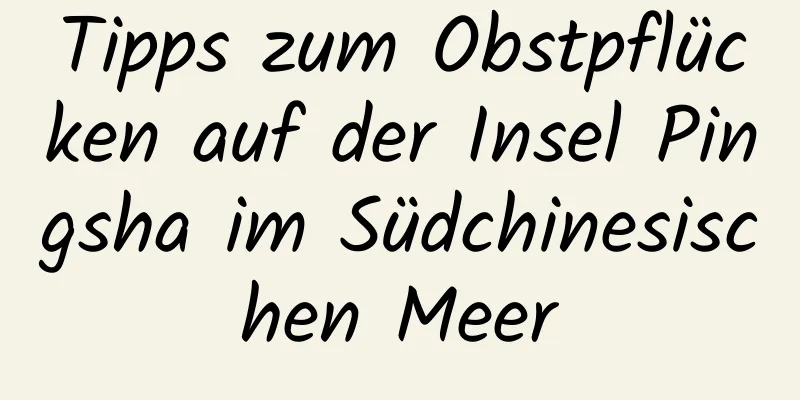 Tipps zum Obstpflücken auf der Insel Pingsha im Südchinesischen Meer