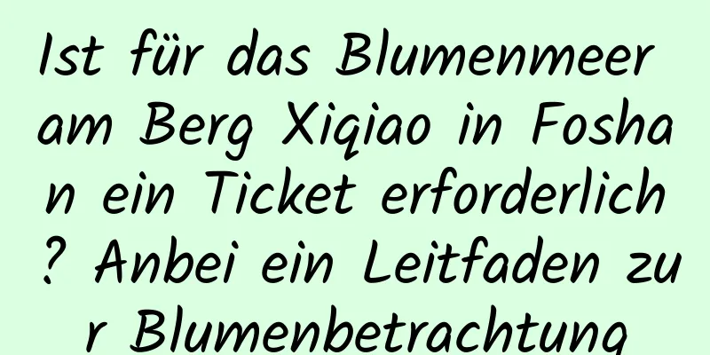 Ist für das Blumenmeer am Berg Xiqiao in Foshan ein Ticket erforderlich? Anbei ein Leitfaden zur Blumenbetrachtung