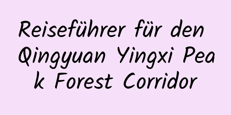 Reiseführer für den Qingyuan Yingxi Peak Forest Corridor