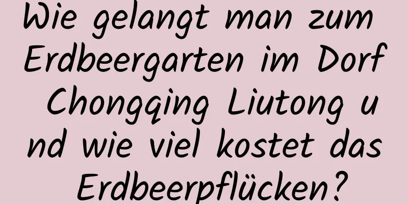 Wie gelangt man zum Erdbeergarten im Dorf Chongqing Liutong und wie viel kostet das Erdbeerpflücken?