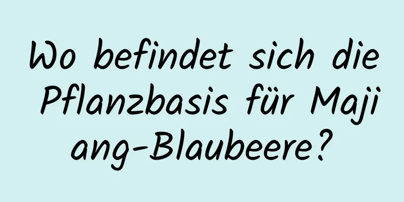 Wo befindet sich die Pflanzbasis für Majiang-Blaubeere?