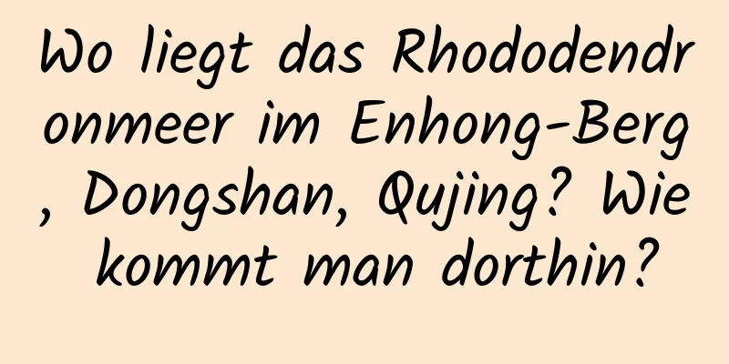 Wo liegt das Rhododendronmeer im Enhong-Berg, Dongshan, Qujing? Wie kommt man dorthin?