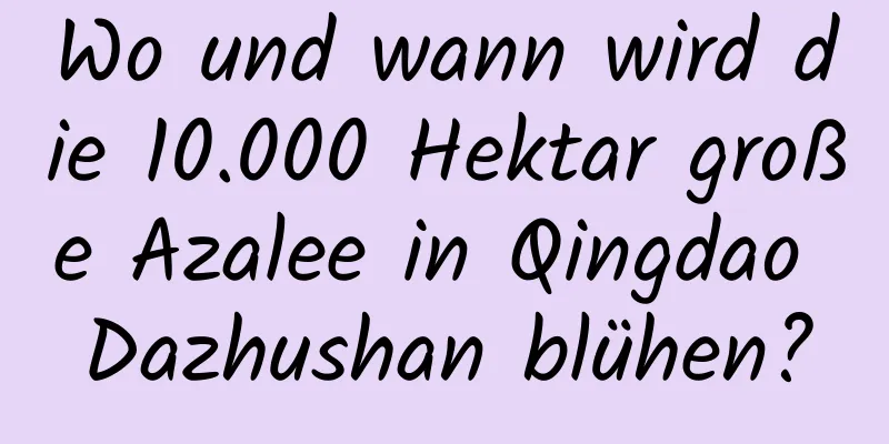 Wo und wann wird die 10.000 Hektar große Azalee in Qingdao Dazhushan blühen?