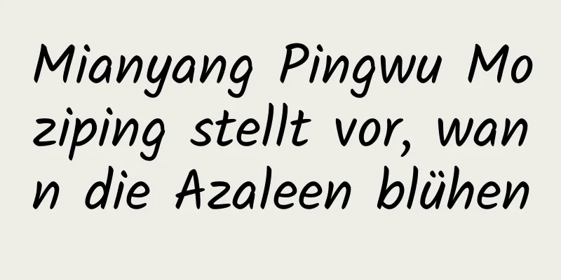 Mianyang Pingwu Moziping stellt vor, wann die Azaleen blühen