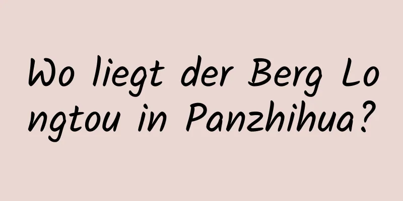 Wo liegt der Berg Longtou in Panzhihua?