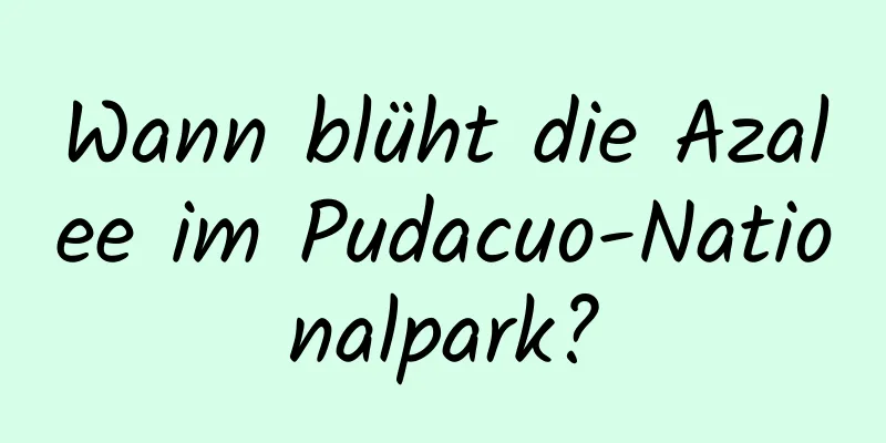 Wann blüht die Azalee im Pudacuo-Nationalpark?