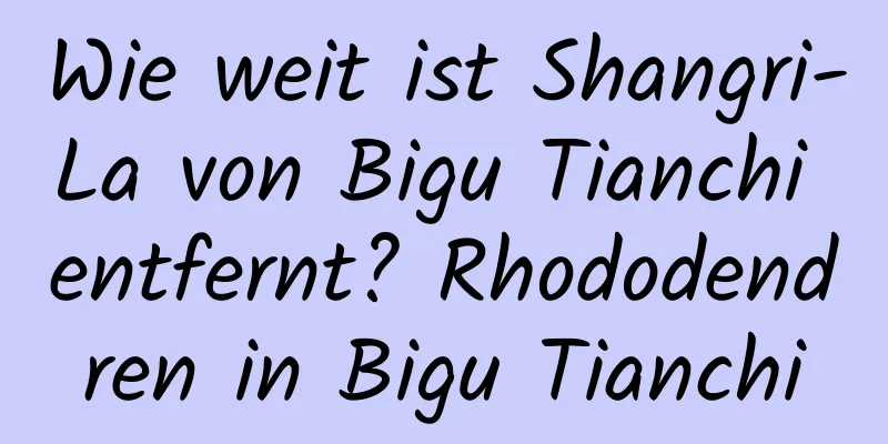 Wie weit ist Shangri-La von Bigu Tianchi entfernt? Rhododendren in Bigu Tianchi