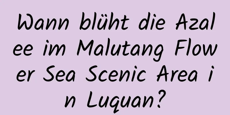 Wann blüht die Azalee im Malutang Flower Sea Scenic Area in Luquan?