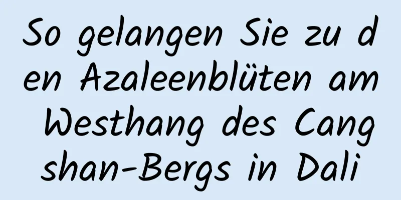 So gelangen Sie zu den Azaleenblüten am Westhang des Cangshan-Bergs in Dali