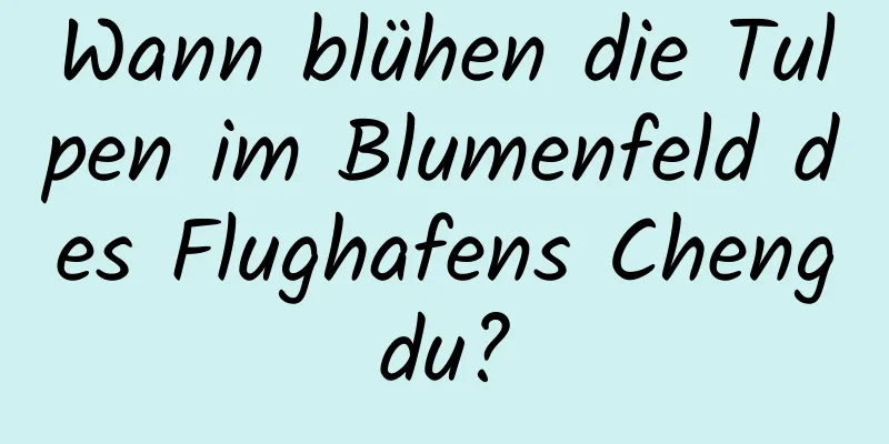 Wann blühen die Tulpen im Blumenfeld des Flughafens Chengdu?