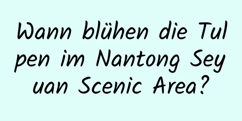 Wann blühen die Tulpen im Nantong Seyuan Scenic Area?