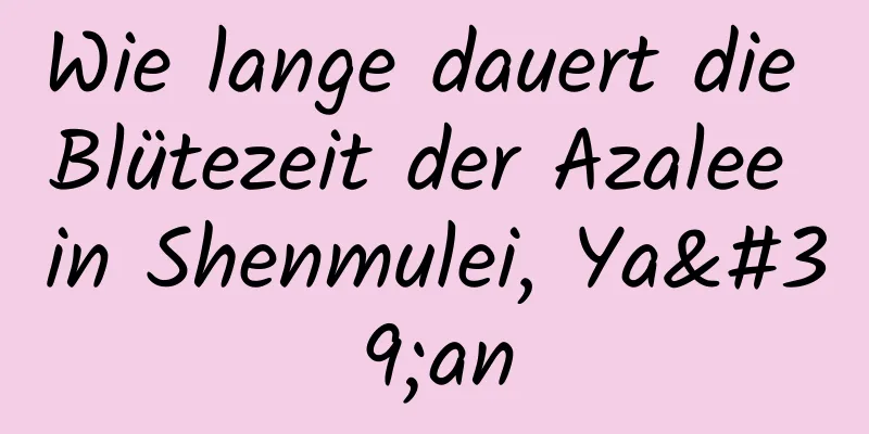 Wie lange dauert die Blütezeit der Azalee in Shenmulei, Ya'an