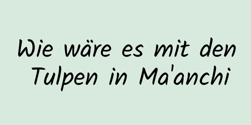 Wie wäre es mit den Tulpen in Ma'anchi