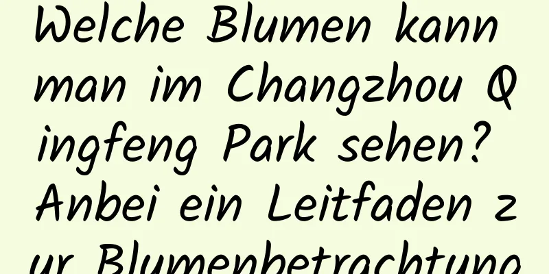 Welche Blumen kann man im Changzhou Qingfeng Park sehen? Anbei ein Leitfaden zur Blumenbetrachtung