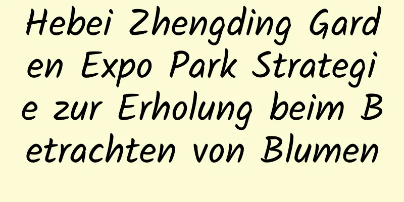 Hebei Zhengding Garden Expo Park Strategie zur Erholung beim Betrachten von Blumen