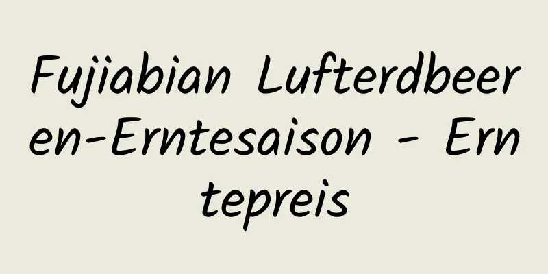 Fujiabian Lufterdbeeren-Erntesaison - Erntepreis