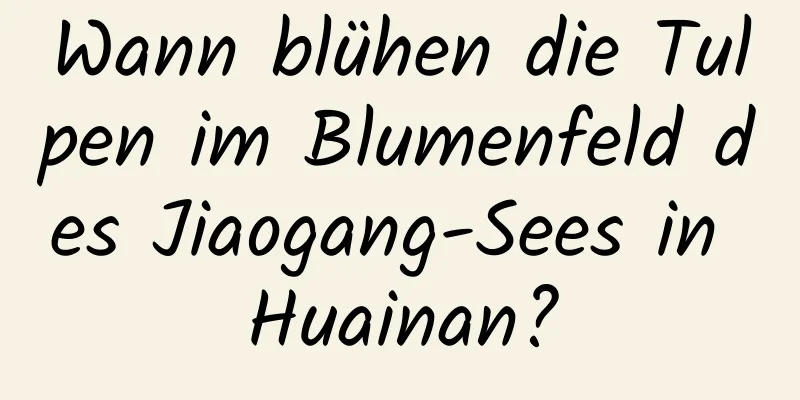 Wann blühen die Tulpen im Blumenfeld des Jiaogang-Sees in Huainan?