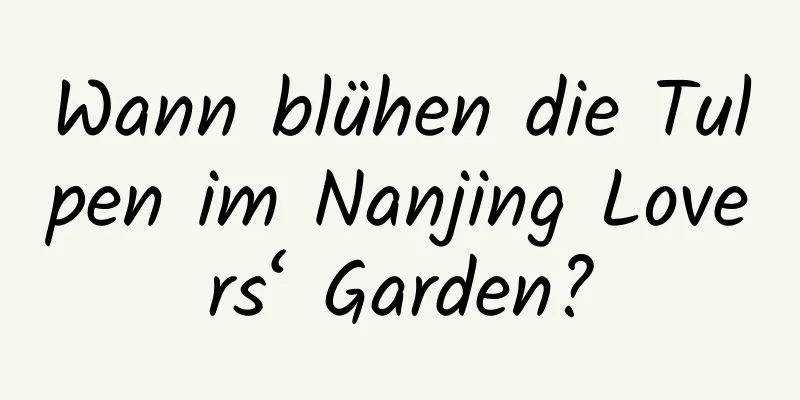 Wann blühen die Tulpen im Nanjing Lovers‘ Garden?