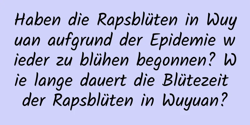 Haben die Rapsblüten in Wuyuan aufgrund der Epidemie wieder zu blühen begonnen? Wie lange dauert die Blütezeit der Rapsblüten in Wuyuan?