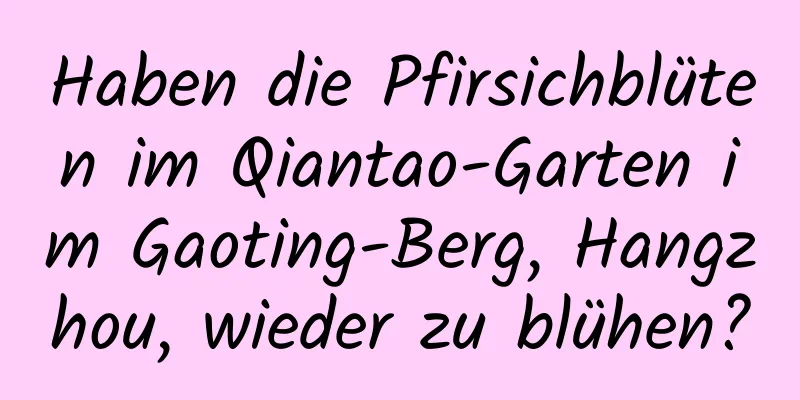 Haben die Pfirsichblüten im Qiantao-Garten im Gaoting-Berg, Hangzhou, wieder zu blühen?