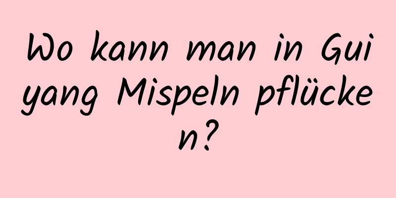 Wo kann man in Guiyang Mispeln pflücken?