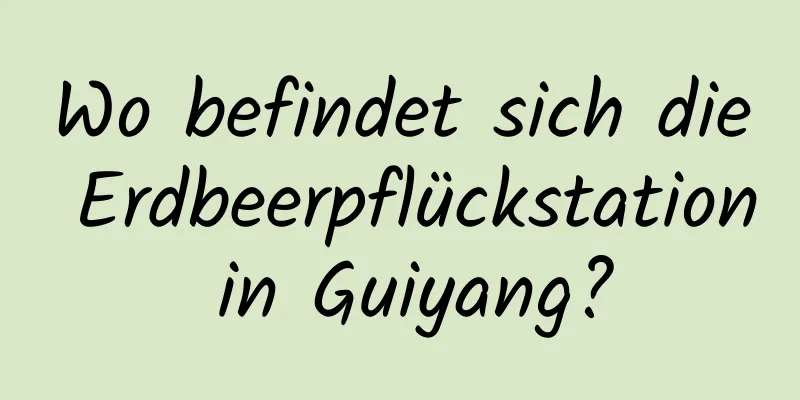 Wo befindet sich die Erdbeerpflückstation in Guiyang?