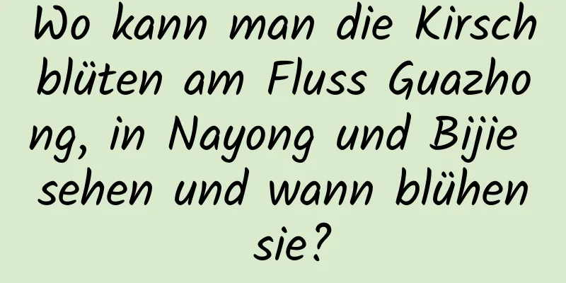 Wo kann man die Kirschblüten am Fluss Guazhong, in Nayong und Bijie sehen und wann blühen sie?