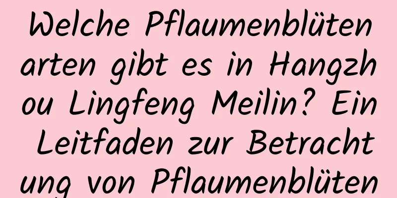 Welche Pflaumenblütenarten gibt es in Hangzhou Lingfeng Meilin? Ein Leitfaden zur Betrachtung von Pflaumenblüten