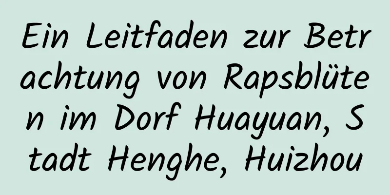 Ein Leitfaden zur Betrachtung von Rapsblüten im Dorf Huayuan, Stadt Henghe, Huizhou