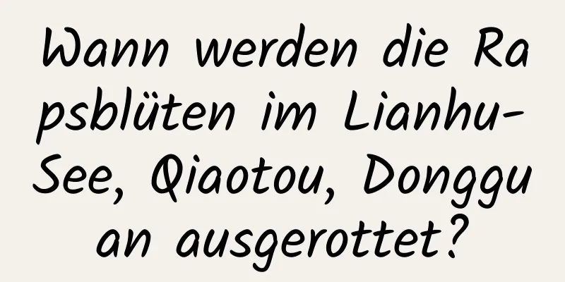 Wann werden die Rapsblüten im Lianhu-See, Qiaotou, Dongguan ausgerottet?