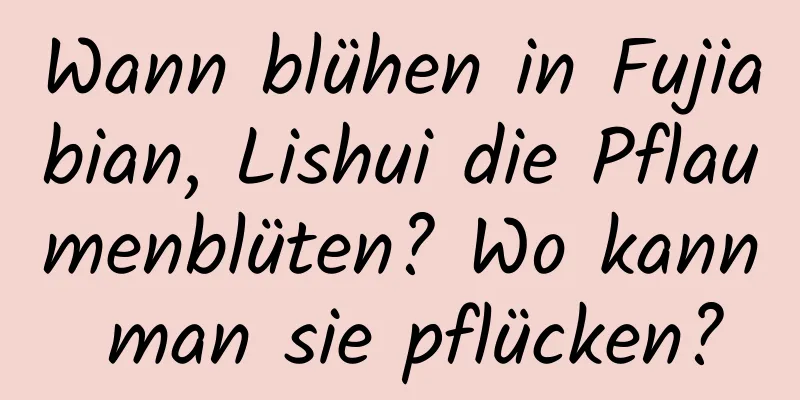 Wann blühen in Fujiabian, Lishui die Pflaumenblüten? Wo kann man sie pflücken?