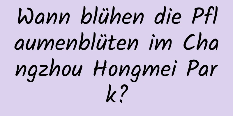 Wann blühen die Pflaumenblüten im Changzhou Hongmei Park?