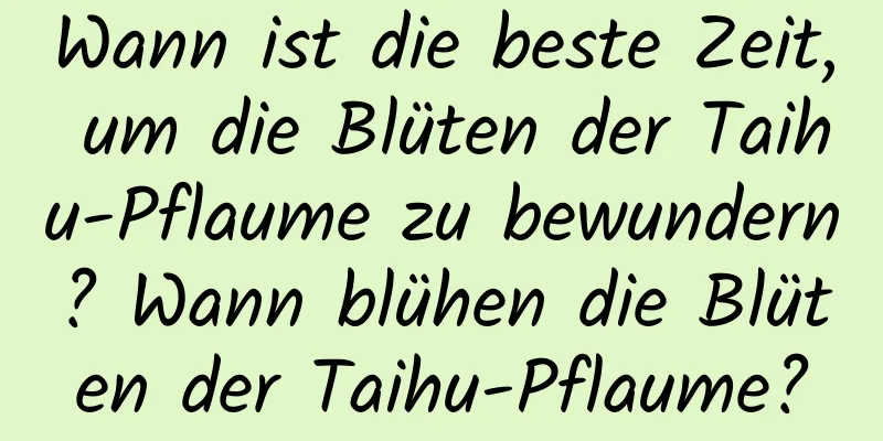 Wann ist die beste Zeit, um die Blüten der Taihu-Pflaume zu bewundern? Wann blühen die Blüten der Taihu-Pflaume?