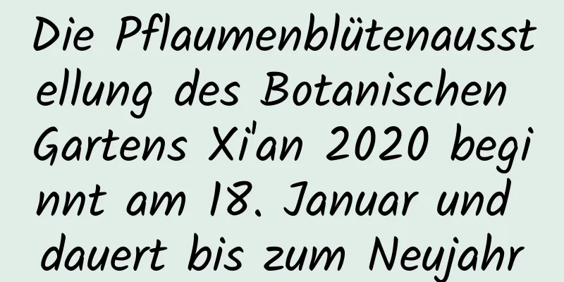 Die Pflaumenblütenausstellung des Botanischen Gartens Xi'an 2020 beginnt am 18. Januar und dauert bis zum Neujahr