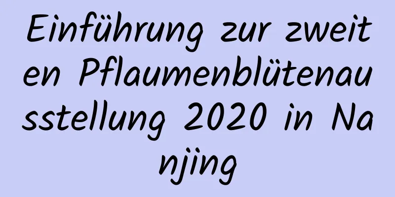 Einführung zur zweiten Pflaumenblütenausstellung 2020 in Nanjing