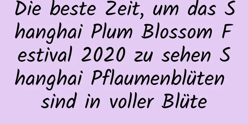 Die beste Zeit, um das Shanghai Plum Blossom Festival 2020 zu sehen Shanghai Pflaumenblüten sind in voller Blüte