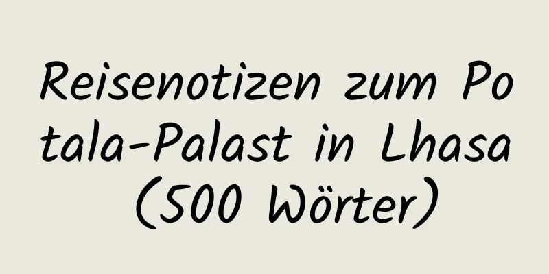 Reisenotizen zum Potala-Palast in Lhasa (500 Wörter)