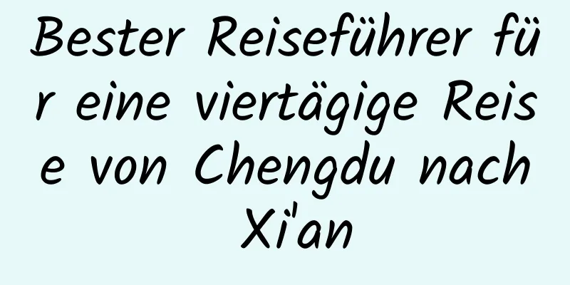 Bester Reiseführer für eine viertägige Reise von Chengdu nach Xi'an