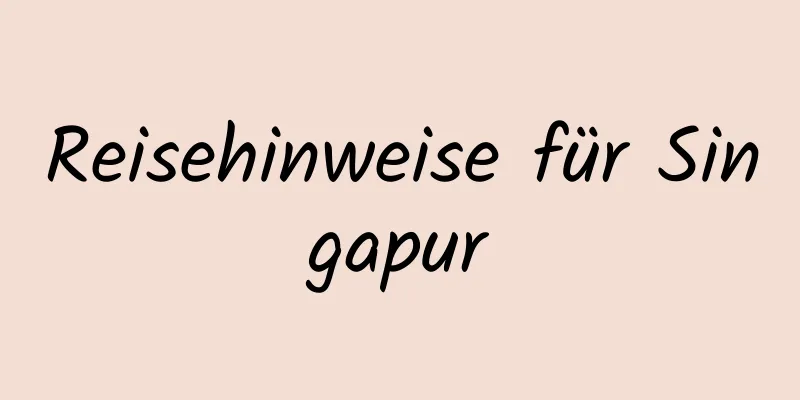 Reisehinweise für Singapur