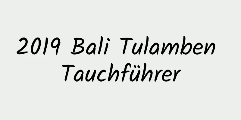 2019 Bali Tulamben Tauchführer