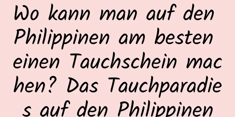 Wo kann man auf den Philippinen am besten einen Tauchschein machen? Das Tauchparadies auf den Philippinen