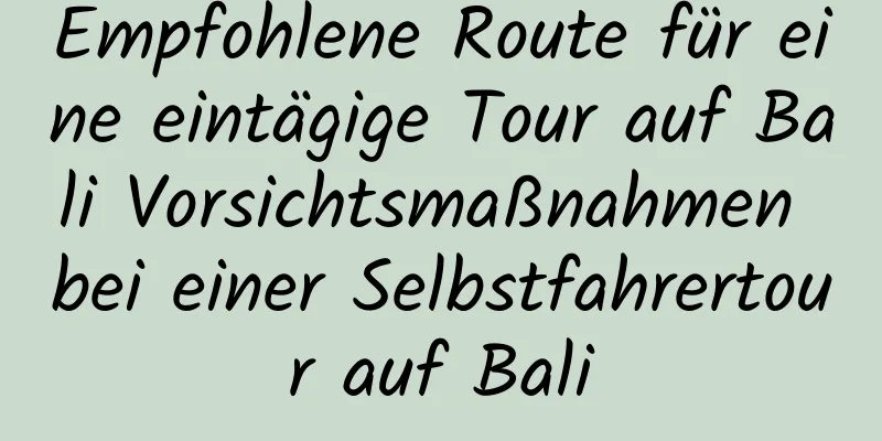 Empfohlene Route für eine eintägige Tour auf Bali Vorsichtsmaßnahmen bei einer Selbstfahrertour auf Bali