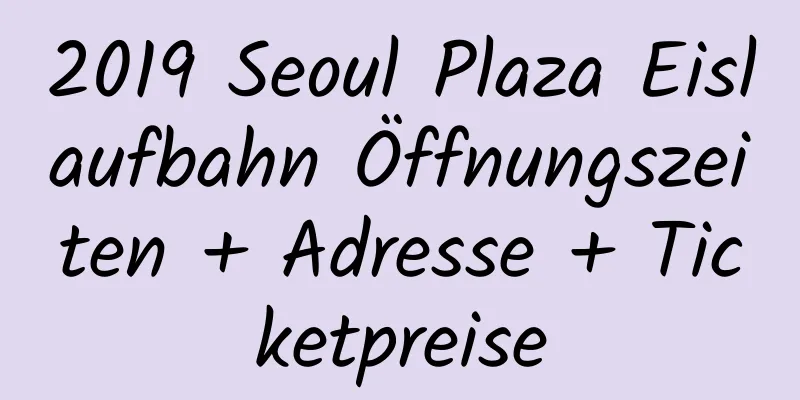 2019 Seoul Plaza Eislaufbahn Öffnungszeiten + Adresse + Ticketpreise