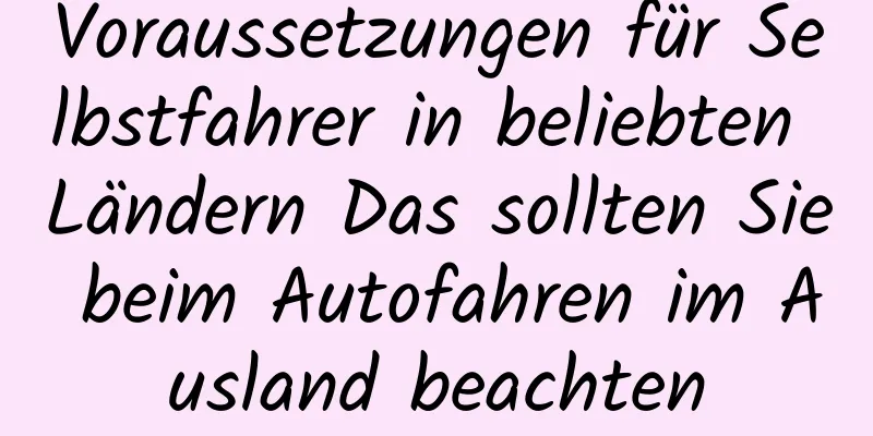 Voraussetzungen für Selbstfahrer in beliebten Ländern Das sollten Sie beim Autofahren im Ausland beachten