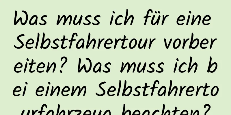 Was muss ich für eine Selbstfahrertour vorbereiten? Was muss ich bei einem Selbstfahrertourfahrzeug beachten?