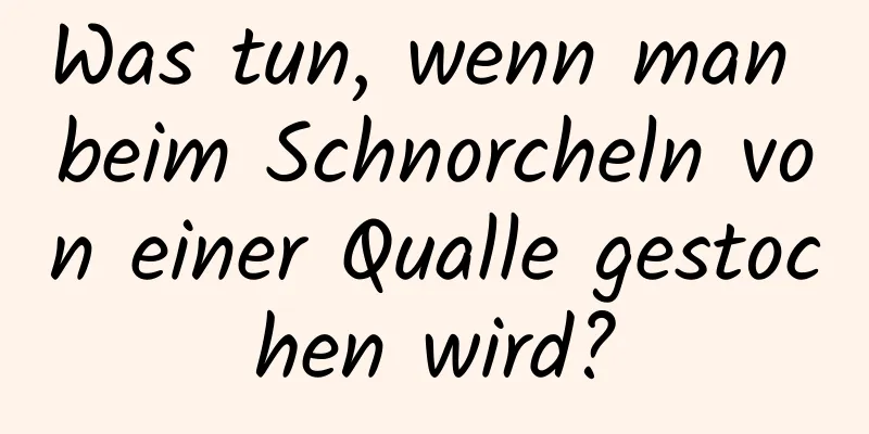 Was tun, wenn man beim Schnorcheln von einer Qualle gestochen wird?