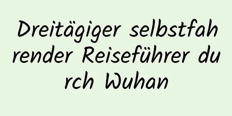 Dreitägiger selbstfahrender Reiseführer durch Wuhan