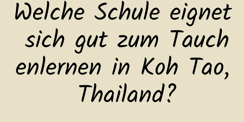 Welche Schule eignet sich gut zum Tauchenlernen in Koh Tao, Thailand?